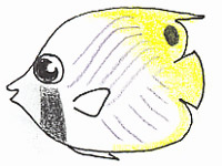 魚の絵の描き方