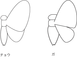 虫の絵の描き方