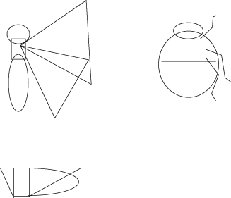 バッタもカマキリもチョウも 虫のカンタン描き方