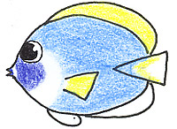 無料イラスト画像 無料ダウンロード手書き 魚 イラスト リアル 描き 方
