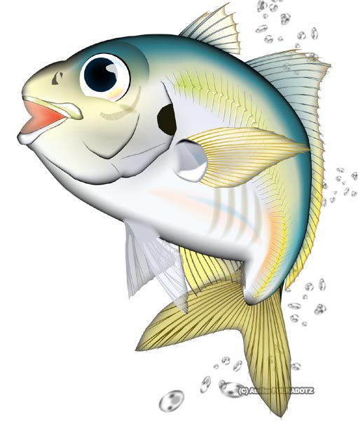 魚イラスト マアジ 作成ソフト Illustrator10 あとりえポルカドッツ