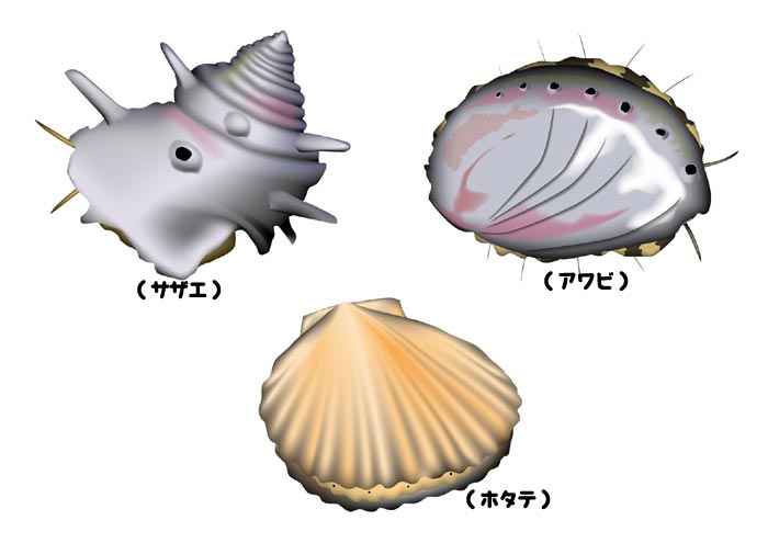 海産物貝類イラスト