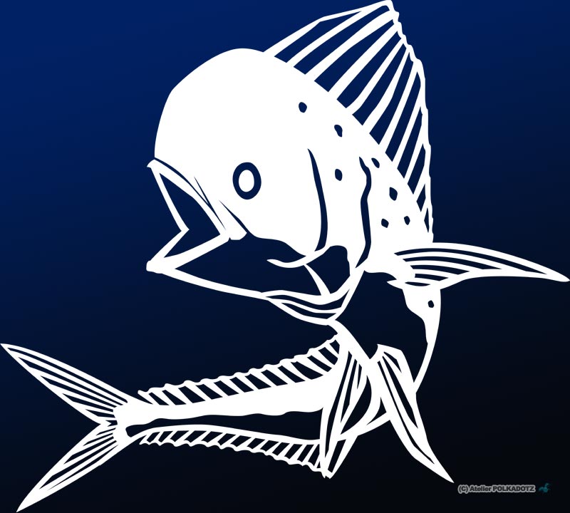 魚 イラスト 白黒