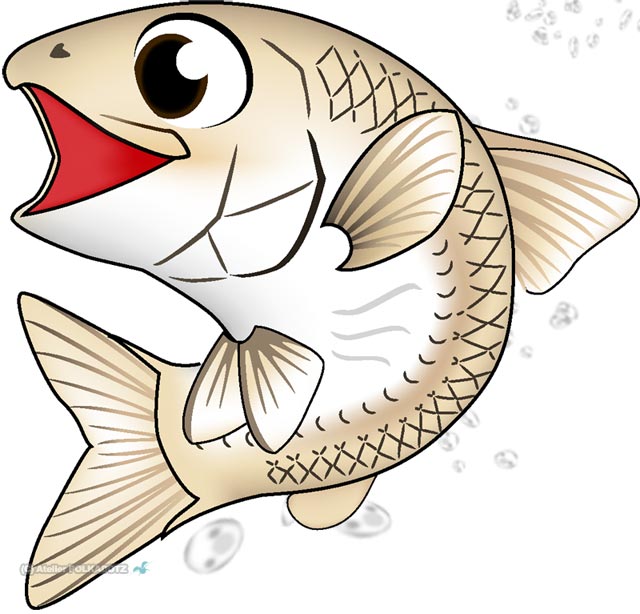 トップレート 魚の 絵 イラスト