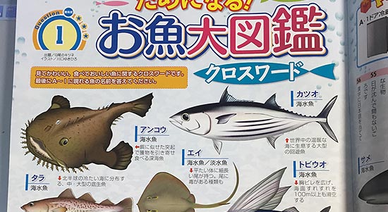 魚イラスト　月刊クロスワード