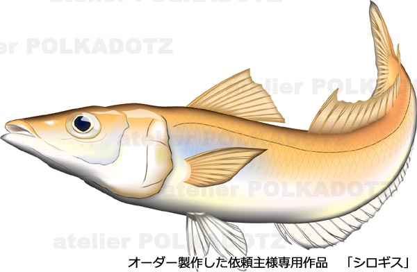 最も共有された フリー 魚 リアル イラスト